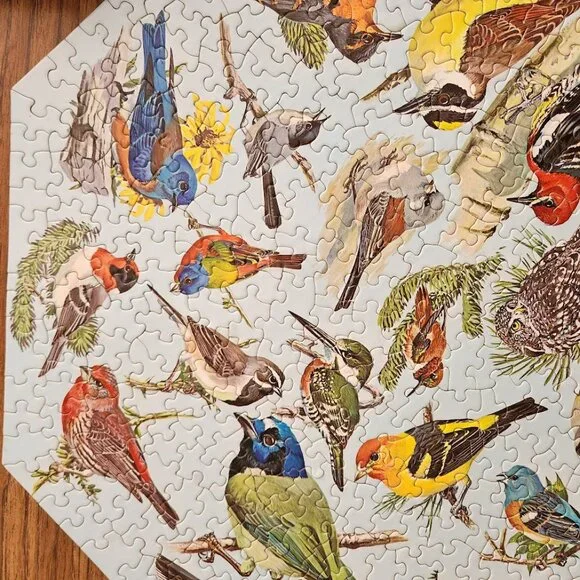 Vintage 500 Piece 1968 Springbok Octagon Puzzle Western Birds by Malick PZL 8015